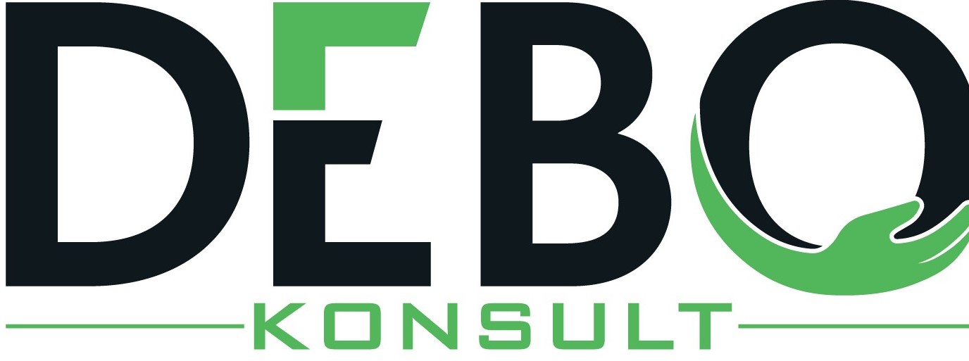 Debot Konsult Logo